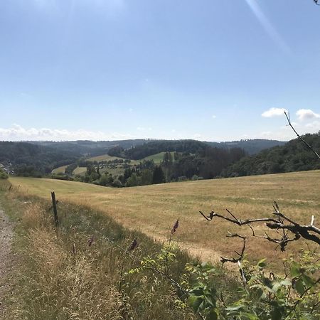 Gluehalm Willingen Βίλα Willingen  Εξωτερικό φωτογραφία