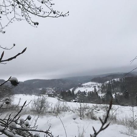 Gluehalm Willingen Βίλα Willingen  Εξωτερικό φωτογραφία