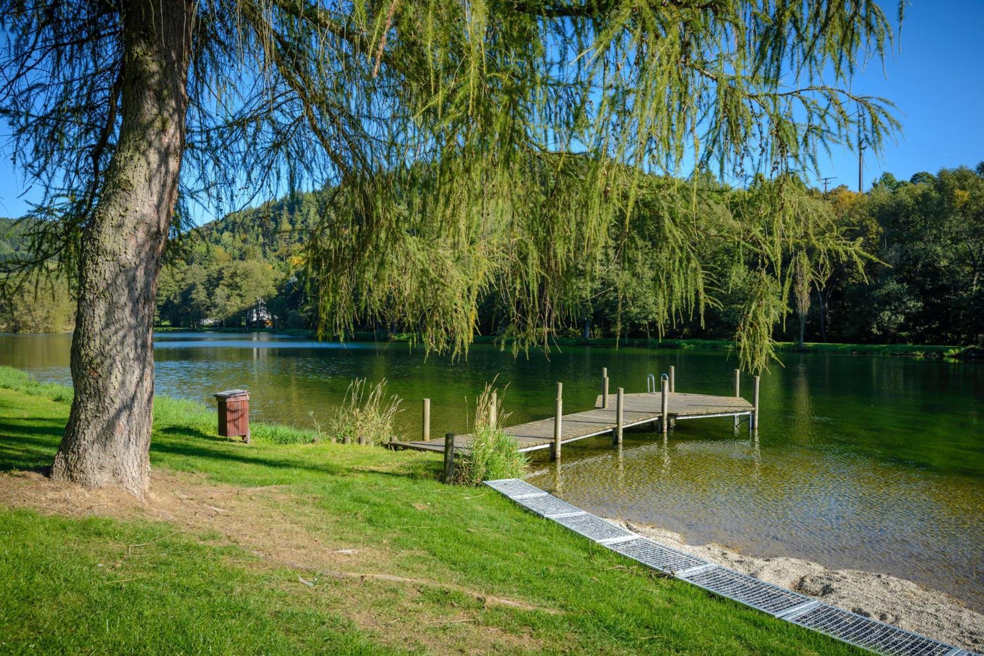 Gluehalm Willingen Βίλα Willingen  Εξωτερικό φωτογραφία