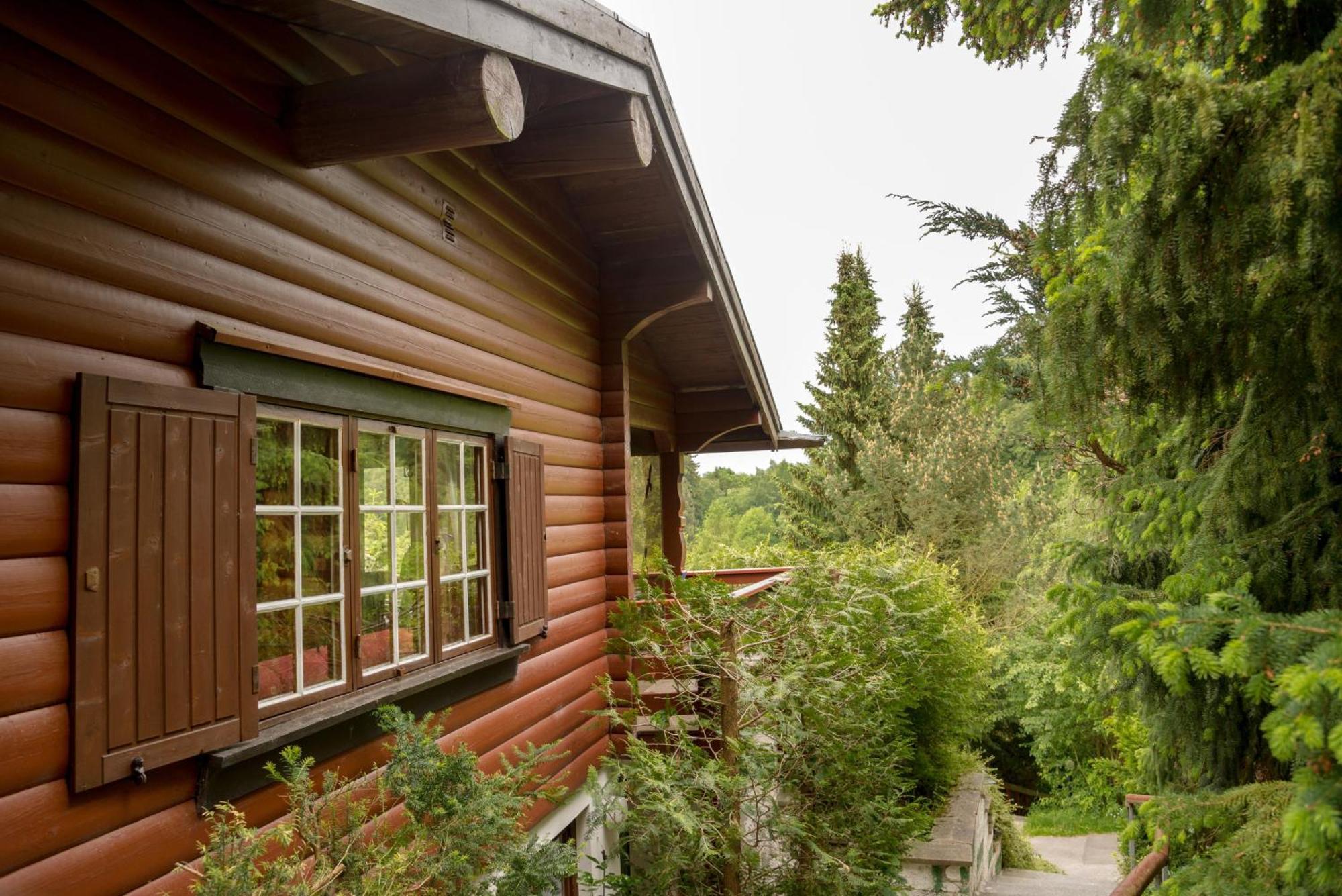 Gluehalm Willingen Βίλα Willingen  Εξωτερικό φωτογραφία