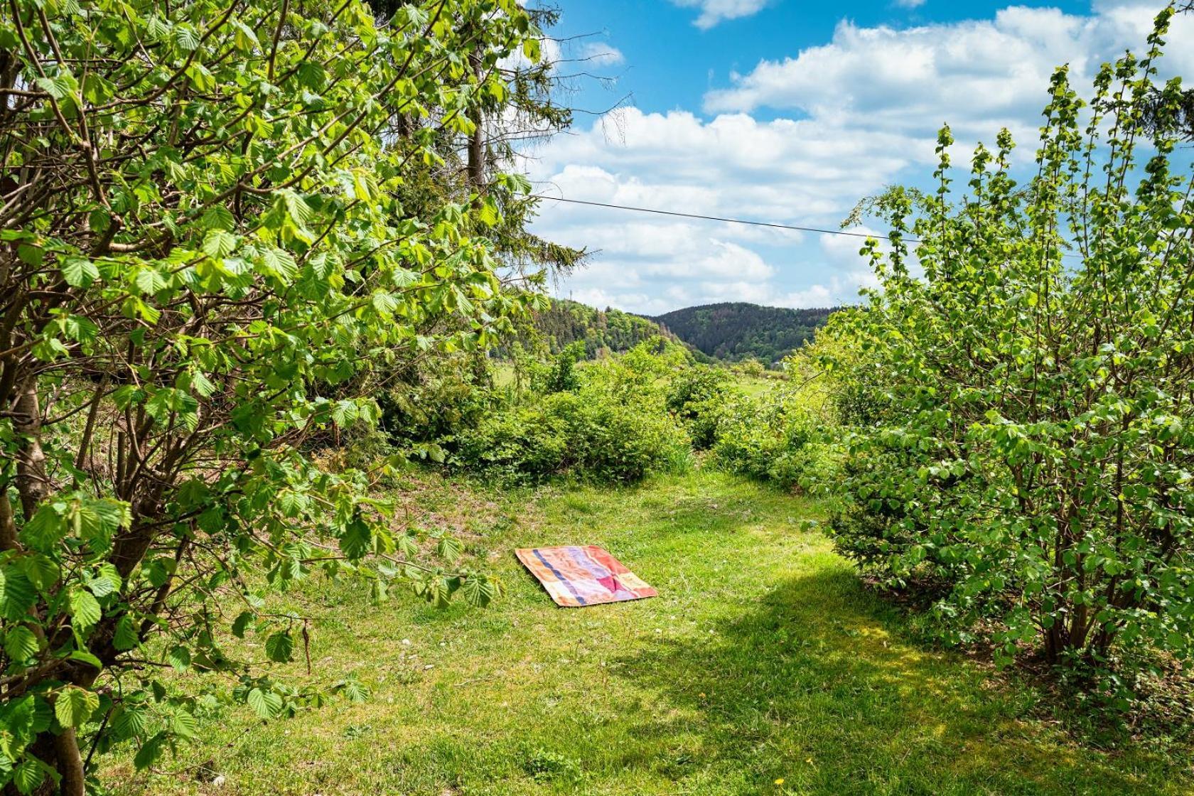 Gluehalm Willingen Βίλα Willingen  Εξωτερικό φωτογραφία